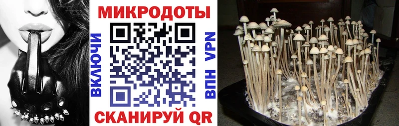 закладки  Солнечногорск  Псилоцибиновые грибы прущие грибы 