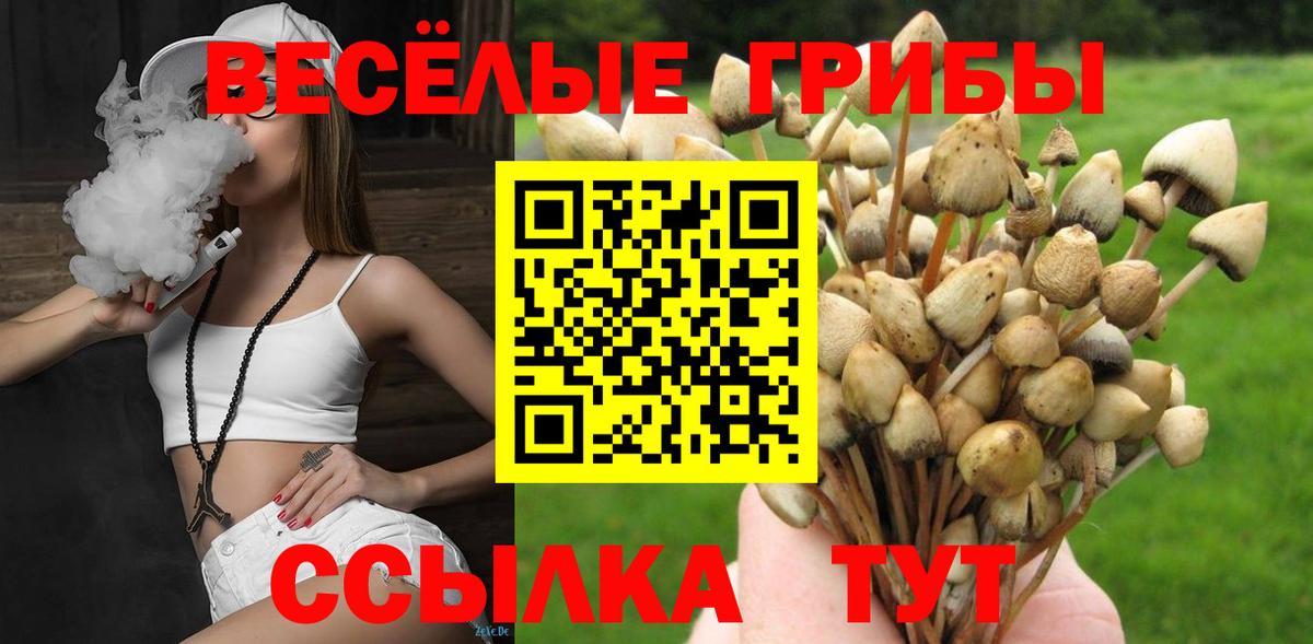 Солнечногорск  Псилоцибиновые грибы прущие грибы  Псилоцибиновые грибы ЛСД  Вход с VPN 